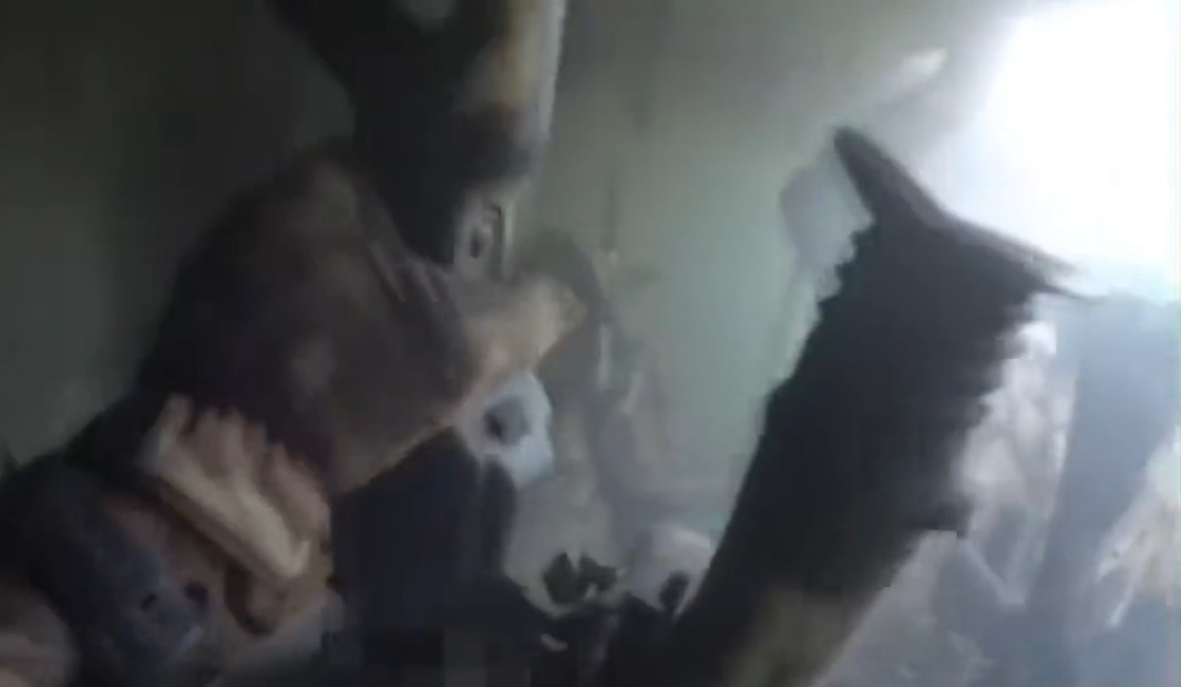 Укопавај се, шинко! (Фото: Скриншот)